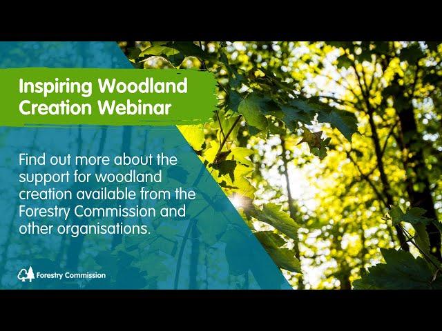 Forestry Commission: Inspiring woodland creation webinar