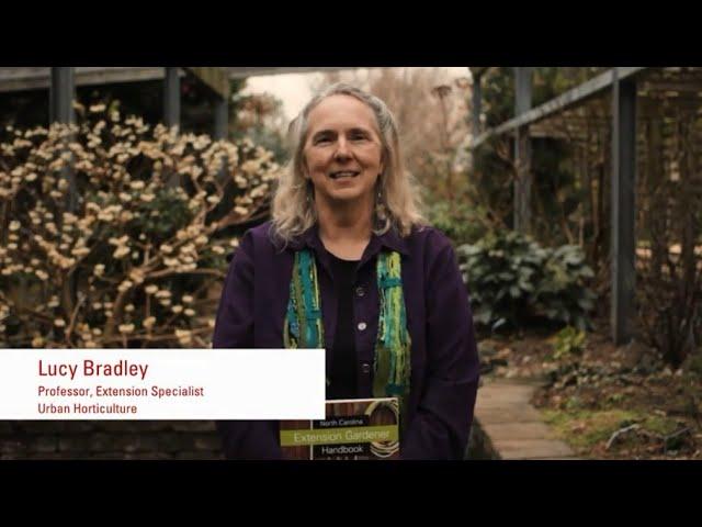 Lucy Bradley, NC State Professor and Urban Horticulture Extension Specialist