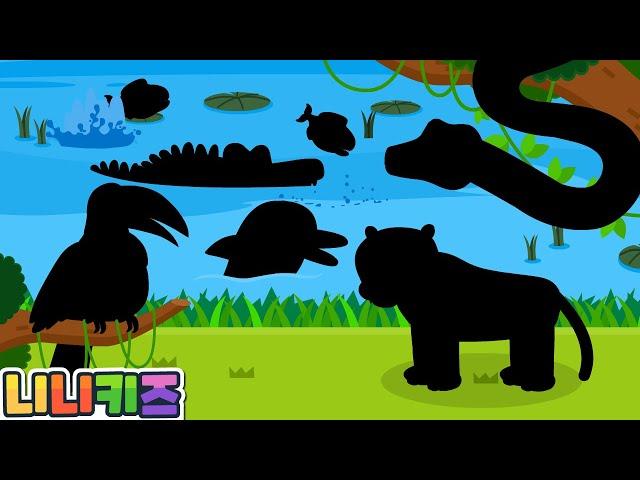 Who lives in Amazon? | Shadow Animal Play | Exploring the Amazon | Shark? T-Rex? | Kids | NINIkids