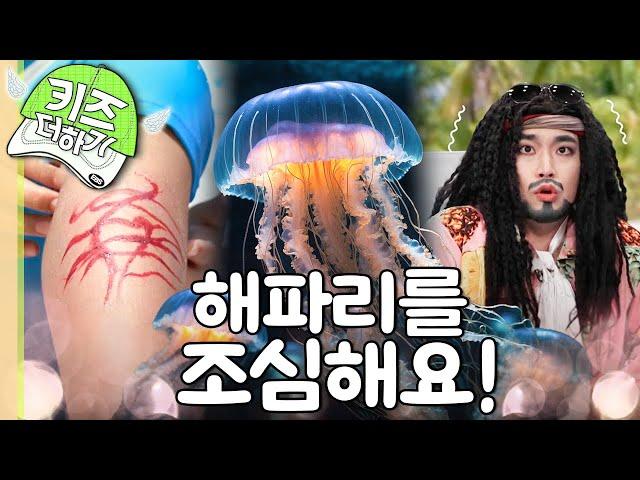 [EBS놀이터] 해파리🪼｜바닷가에서 조심 또 조심!｜우리 몸 X파일｜최고다! 호기심 딱지｜EBS키즈