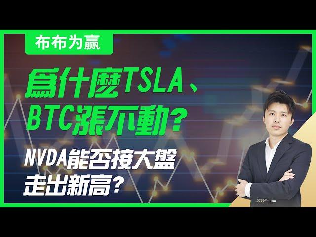 【布布为赢】为什么TSLA、BTC涨不动？NVDA能否接大盘走出新高？