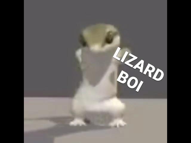 LIZARD BOI
