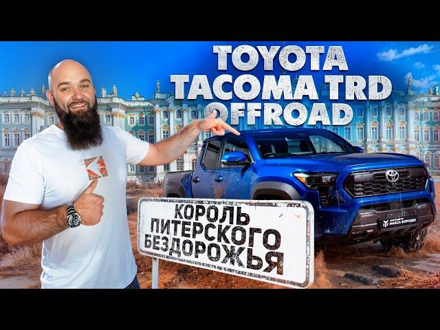 Tacoma TRD Offroad | Toyota для бездорожья в Питере |  #toyota #tacoma  #макс #борода