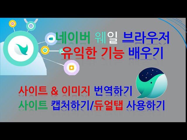 네이버 웨일 유익한 기능 _ 사이트와 이미지 번역하고 캡처하기, 듀얼탭 사용하기