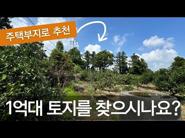 1억대로 투자가능한 제주도 토지를 찾으시나요? (전원주택부지로 추천)