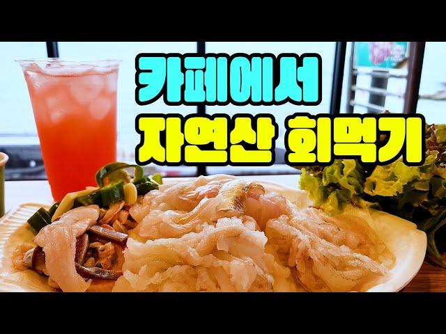 바닷가카페에서 자연산회를 시켜먹는 유일한 곳!!청소만 잘하면 삼겹살도 구워먹을수있는 카페라는데...#악소#자연산회#속초맛집