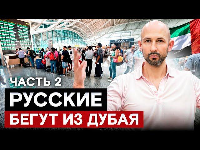 Почему Русские массово бегут из Дубая в 2024? Ужасные минусы в ОАЭ