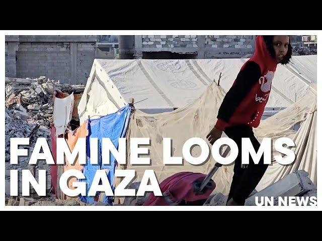 Famine Looms in Gaza | United Nations