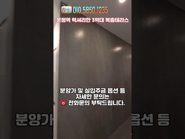 운정역 럭셔리한 3억대 복층테라스