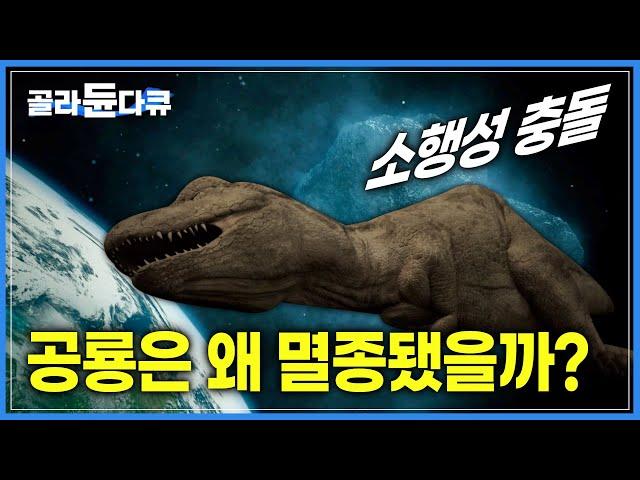 공룡은 왜 멸종됐을까? 지구에서 공룡이 사라진 그 이후 | 지구 40억년의 비밀 | 진화의 역사 | 다큐프라임 | #골라듄다큐