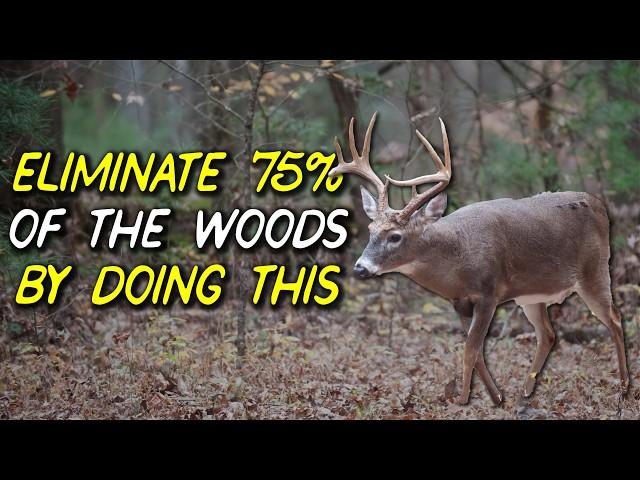 Most deer live in a SMALL percentage of the woods...and this is how you find them