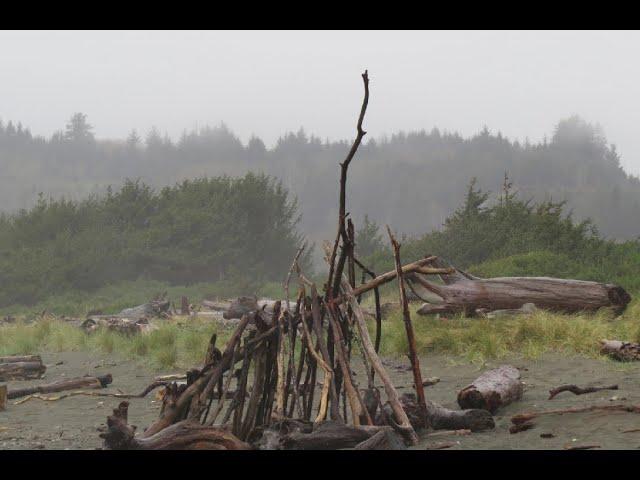 Conuma Mountain Sasquatch Abducts Fur Trapper in British Columbia