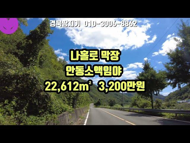 @경북땅지기 #안동부동산  #안동땅 #안동토지 #나홀로 막장 안동소액임야