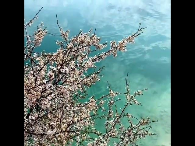 Крым, такого еще не видели