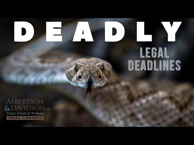 A Deadly Deadline: The 120 Day Deadline to Contest a California Trust