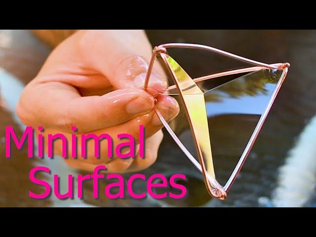 The Math of Bubbles // Minimal Surfaces & the Calculus of Variations #SoME3