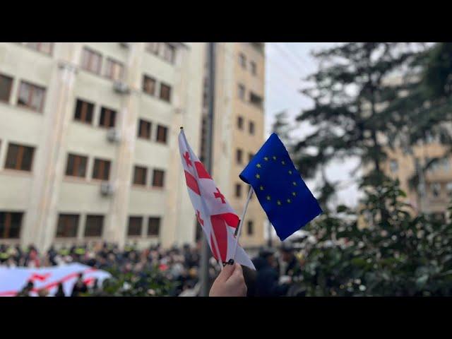 "ოცნების" "რუსული კანონი" | დასავლელი პოლიტიკოსების შეფასებები და გამოხმაურებები მედიაში