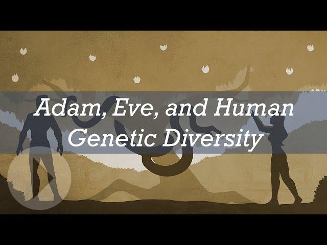 Adam, Eve, and Human Genetic Diversity - Richard Buggs