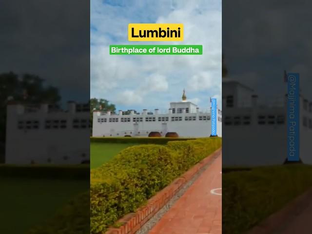 Lumbini #buddhism #buddhist #shortvideo #buddhistmonks #youtubeshorts #youtuber #nepal