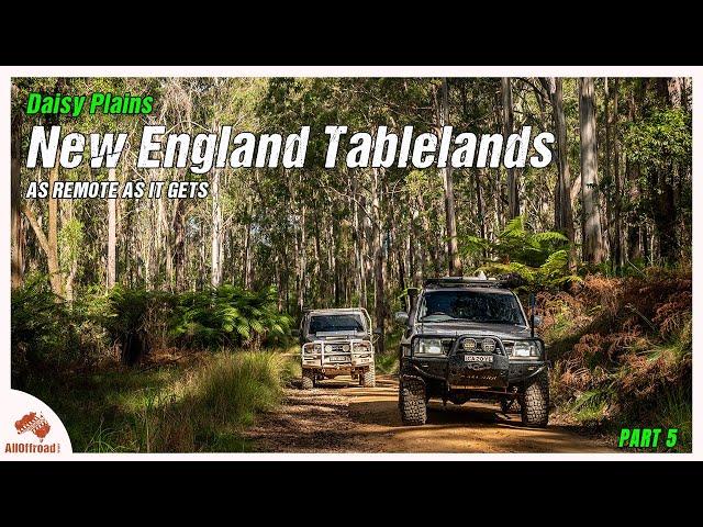 Hidden Gems of Daisy Plains - NSW 4WD Adventure | Final Episode Part 5