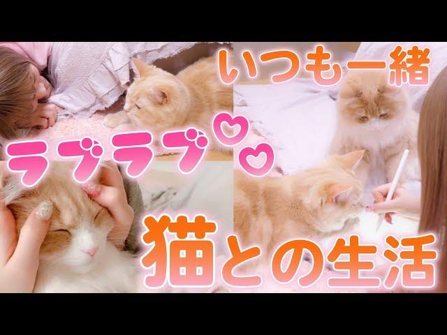 さぁやと甘えん坊兄弟猫のラブラブ生活【アルルイ】