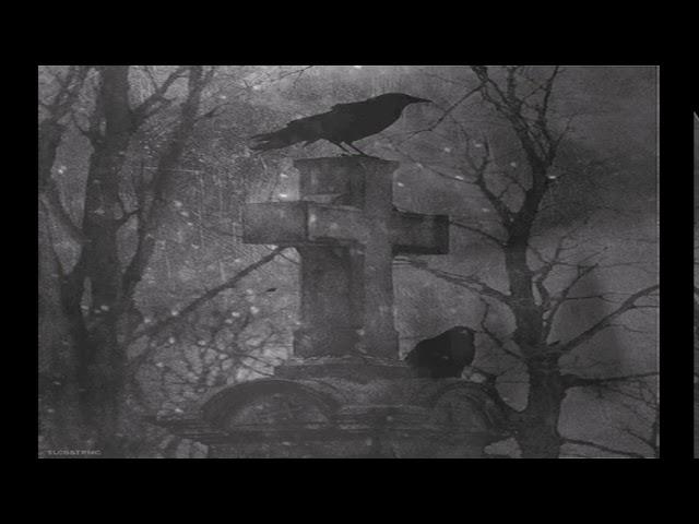 [Lofi/Chill] "Nevermore" by MO. The Raven Storyteller track. Lofi beats to get chills to.