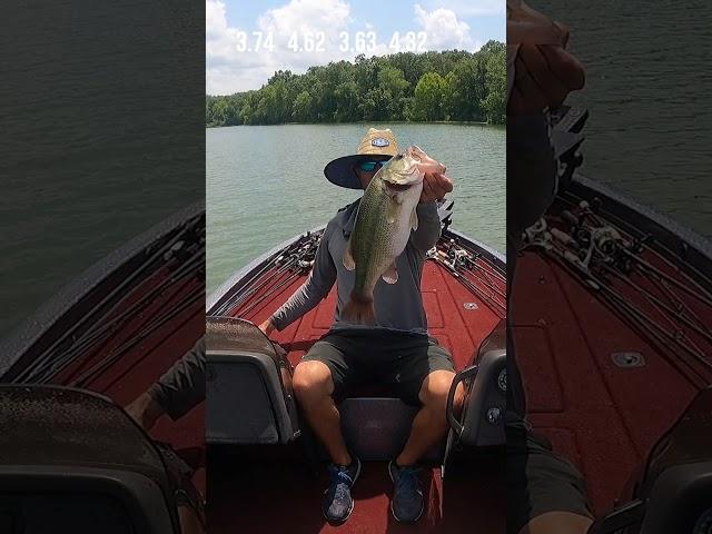 The HOTTEST Days can be the BEST ️ (Summer Ledge Fishing)