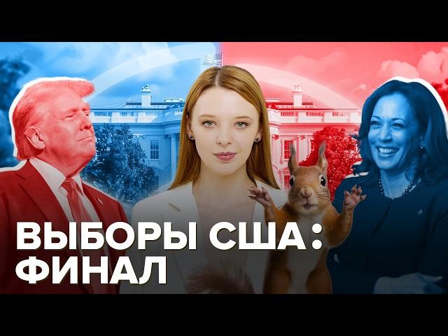 Выборы в США: Белку-то за что? | Мусоровоз Трампа | Удвоение Харрис | Прогнозы: кто победит?