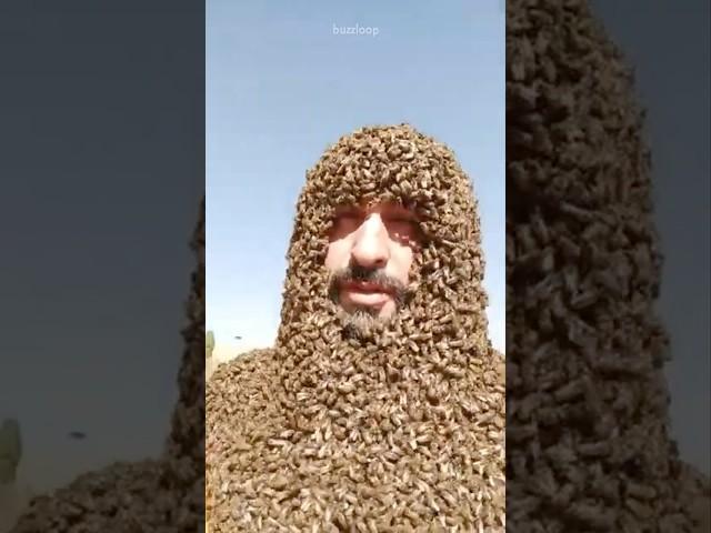 Nature’s Flying Bee Storm 