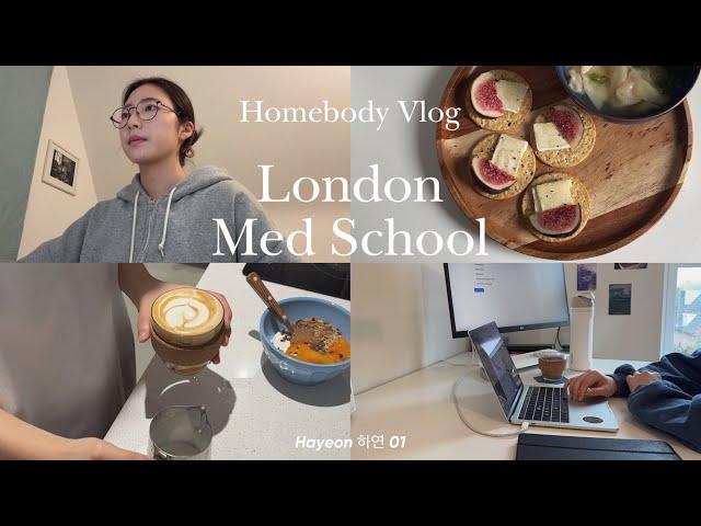 Homebody Med Student vlog | Chit-chat, Life updates 런던 의대생 브이로그