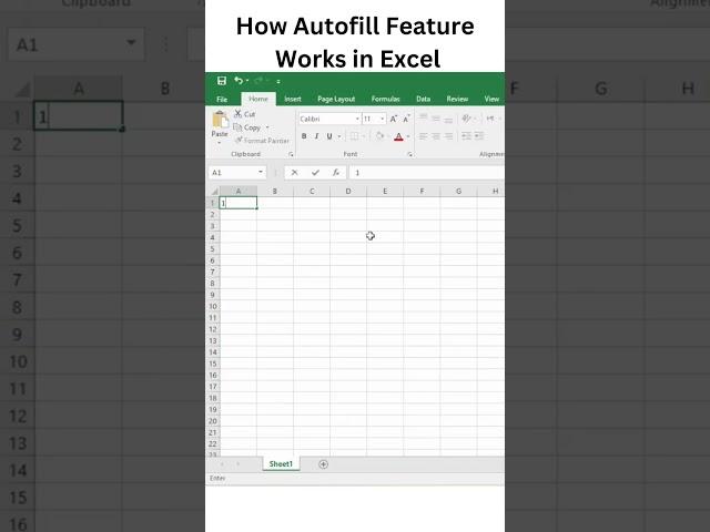 How Autofill Feature works in Microsoft Excel Tutorial