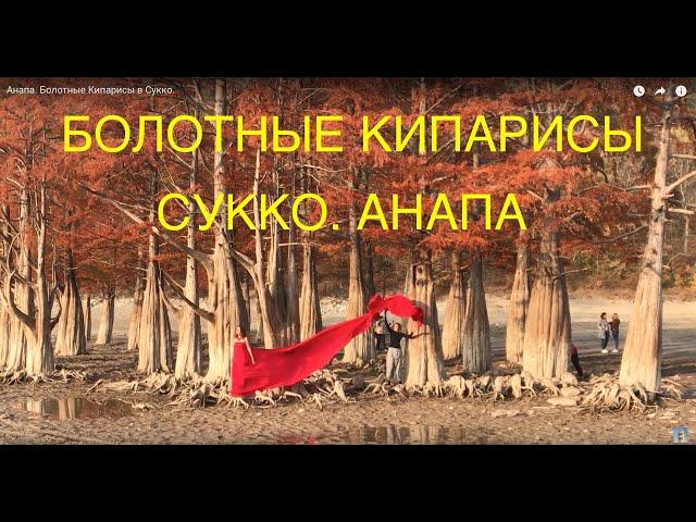 Анапа. Болотные Кипарисы в Сукко.