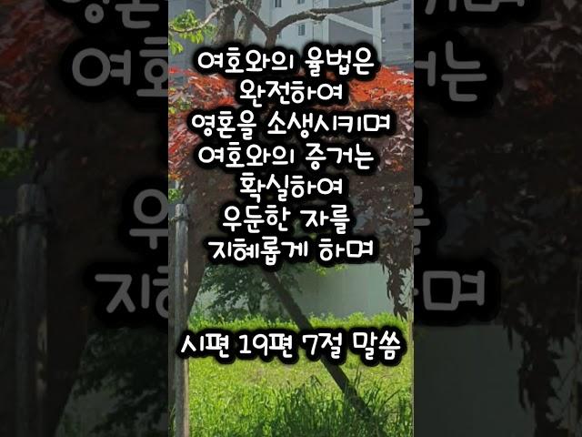 시편19편7절 말씀 #귀한말씀 #은혜로운채널 #성경구절 #성경말씀 #좋은글 #축복된삶 #성경구절암송