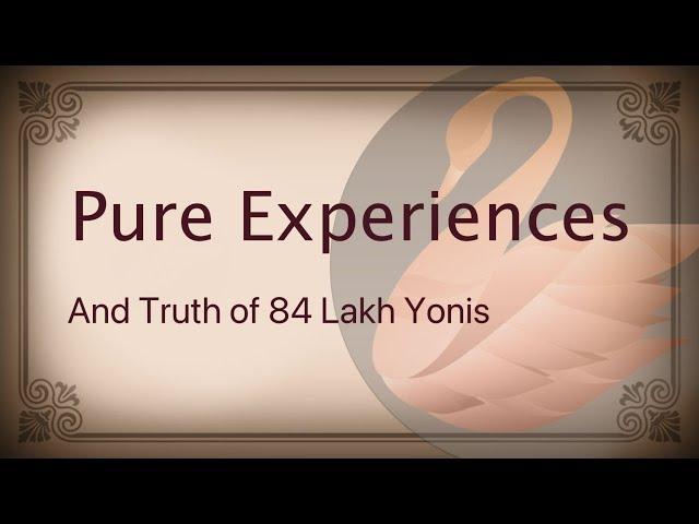 Pure Experience and Truth of 84 Lakh Yonis