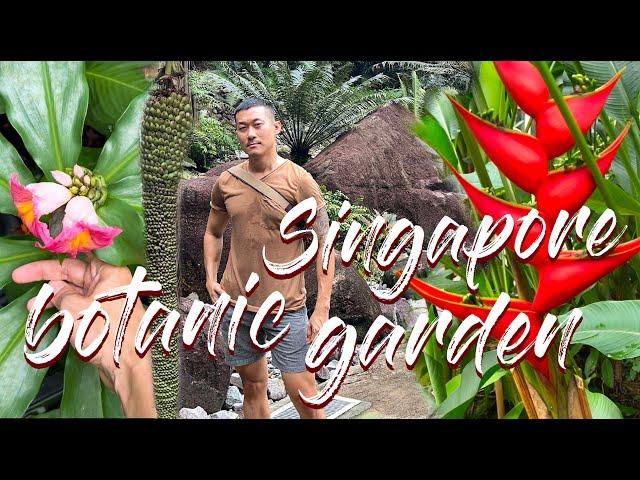 Diverse Plants of Singapore Botanic Garden | An Immersive Tour