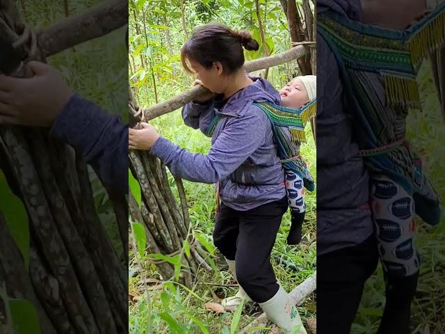 The hard life of a single mother in the mountains. Thank you for watching the video #singlemom
