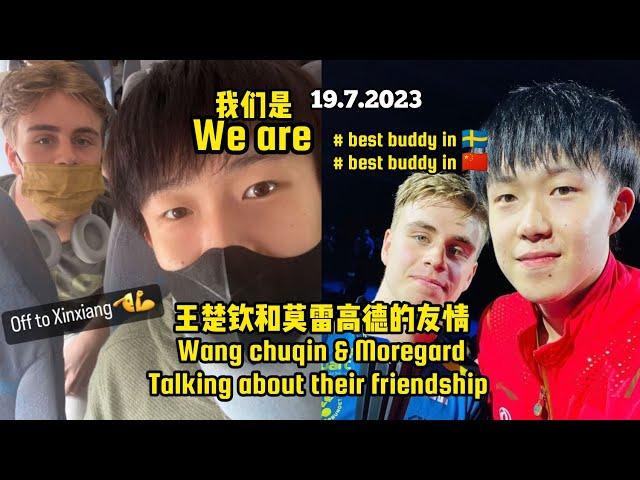 Friendship between Wang CHUQIN & Truls MOREGARD 王楚钦和莫雷高德的友情 19.7.2023