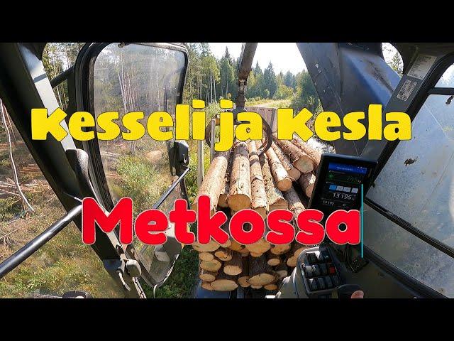 Metkossa vierailu Keslan osastolla pe ja la....