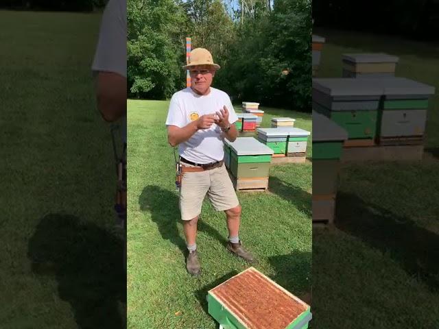 University of Guelph - Honey Bee Research Centre