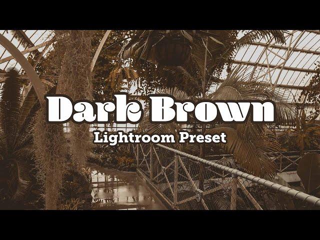 Lightroom Photo Editing Dark Brown Lightroom Preset Tutorial