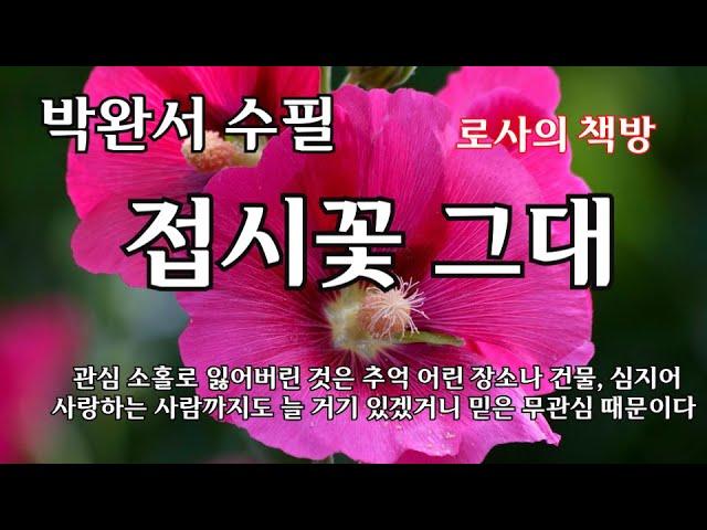 [박완서 수필/접시꽃 그대/두 친구] 관심 소홀로 잃어버린 것은 많다. 추억 어린 장소나 건물, 심지어는 사랑하는 사람까지도 늘 거기 있겠거니 믿은 무관심 때문이다.