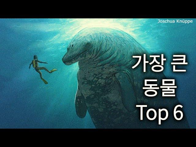 지구 역사상 가장 큰 동물은?