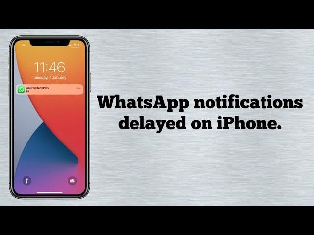 Delay in Receiving WhatsApp Messages on iPhone iOS 17 (Fixed)