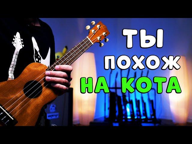 zhanulka - ты похож на кота | разбор на укулеле, как в оригинале