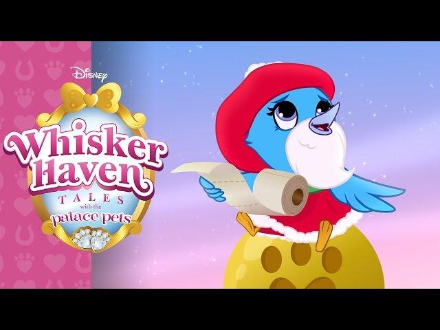 Whisker Haven Tales with the Palace Pets  | Winter in Whisker Haven | @disneyjr