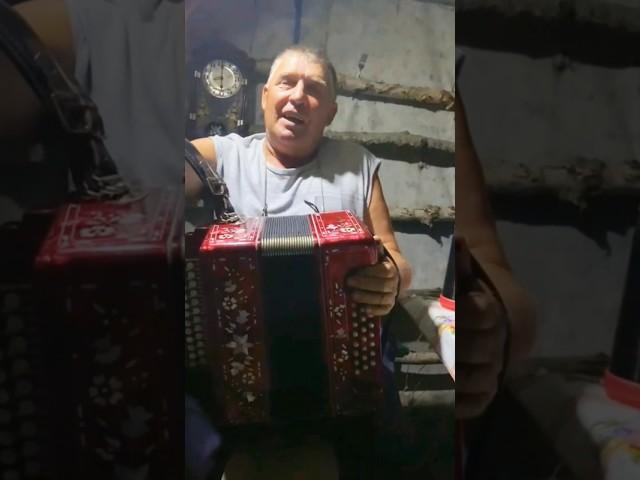 Отзыв после ремонта и настройки заказной тульской гармони  #гармонь #настройка #гармонист #игра