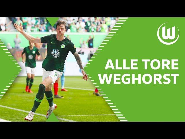 Volltreffer! Alle Tore von Wout Weghorst 2018/19