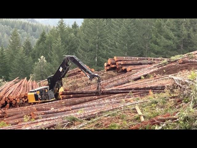 Cat 568LL shovel logging