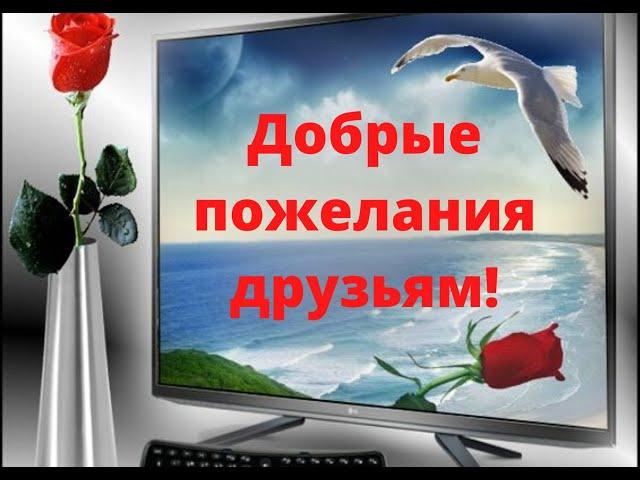 Добрые пожелания друзьям! Музыкальные пожелания друзьям!Душевное видео для друзей!