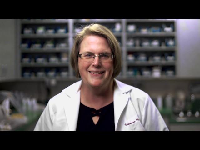 PITT SHRS Faculty Spotlight: Dr. Catherine Palmer